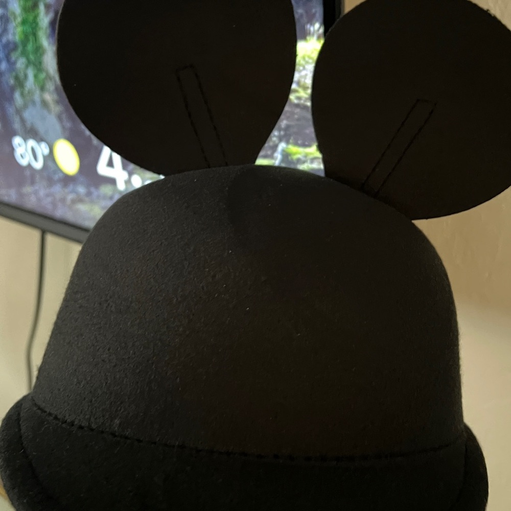 All Ears Hat - Picture 7 of 7